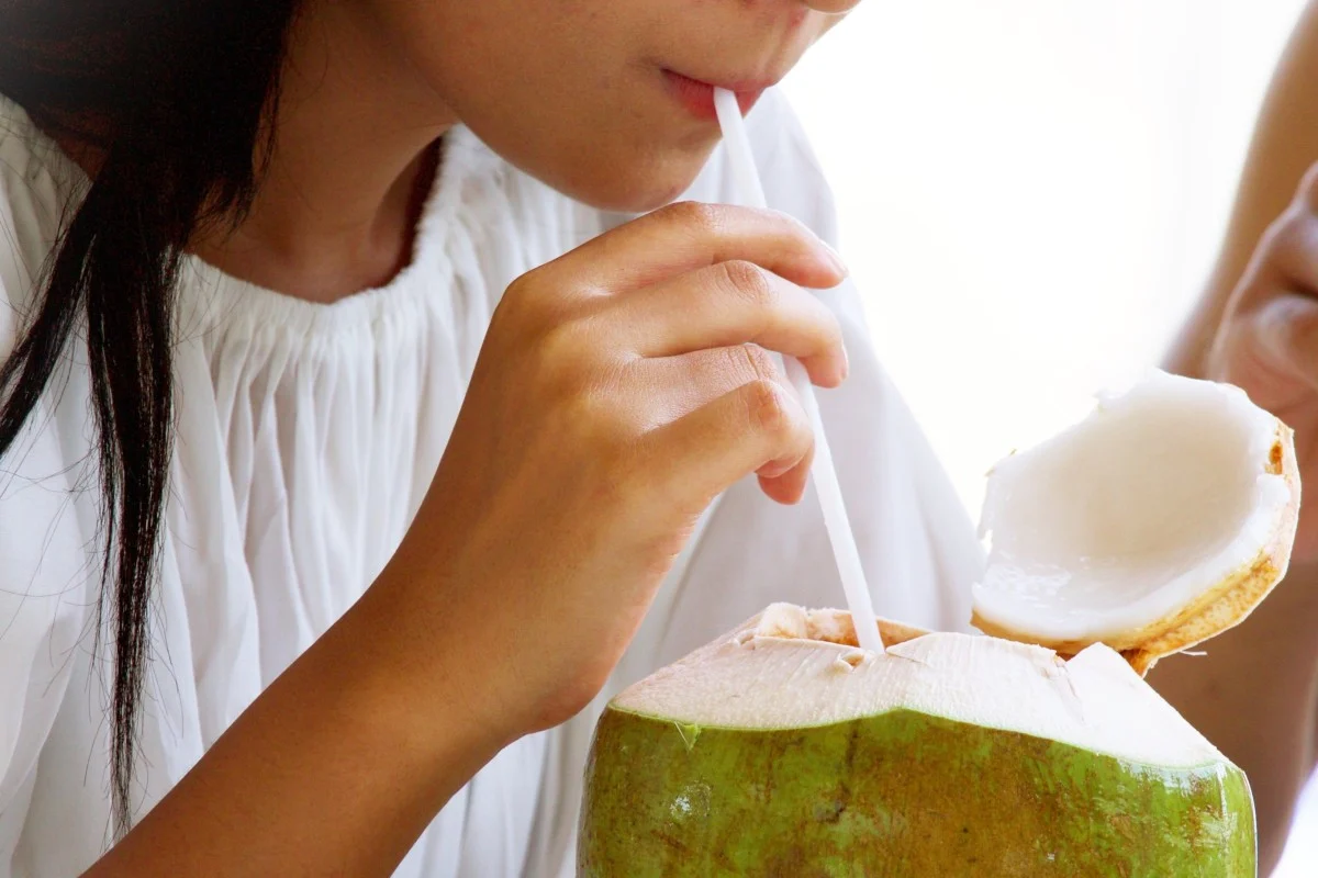 Best Drinks for Hangover Recovery, Coconut Water