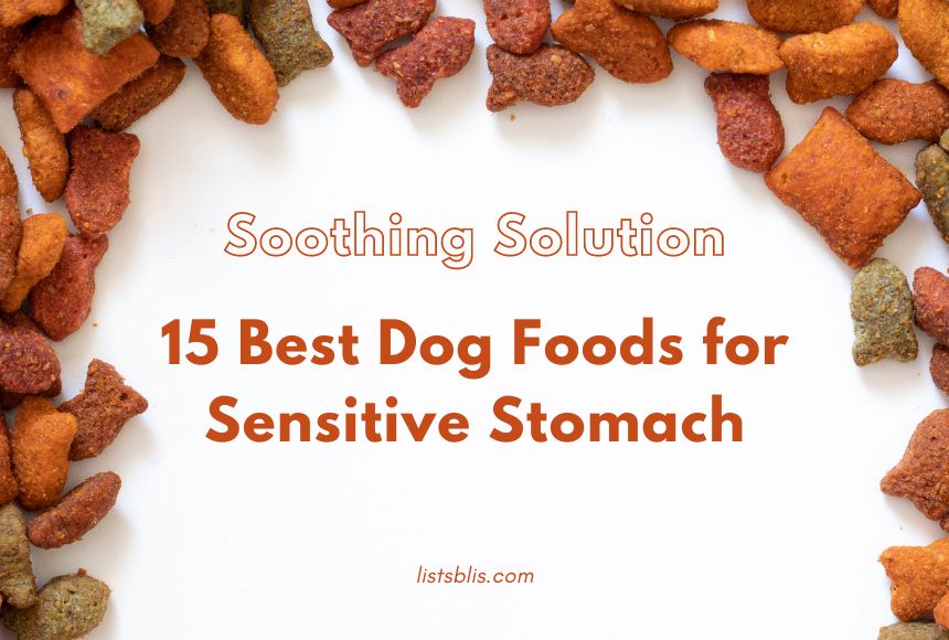 15 Best Dog Foods for Sensitive Stomach